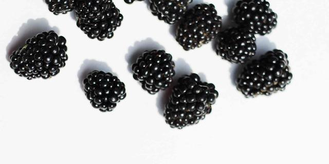 Die richtige Menge: Darf dein Hund Brombeeren essen?