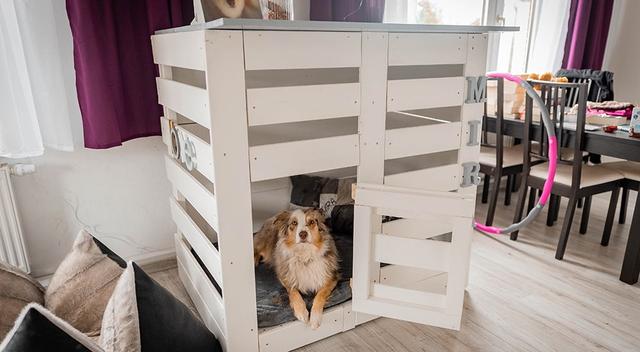 DIY-Projekt: Hundeboxen mit Ikea-Möbeln ganz einfach selbst gestalten DIY-Projekt: Hundeboxen mit Ikea-Möbeln ganz einfach selbst gestalten