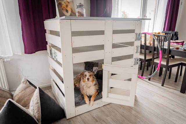 Einfache Anleitungen für selbstgebaute Hundeboxen mit Ikea-Möbeln Einfache Anleitungen für selbstgebaute Hundeboxen mit Ikea-Möbeln