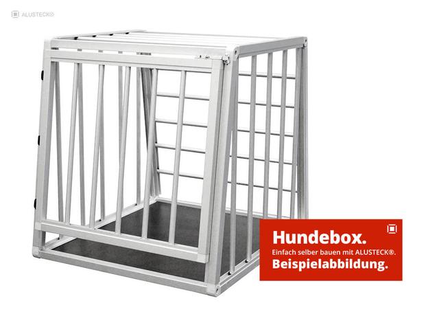 Hundetransportbox selber machen: DIY Anleitung für eine maßgeschneiderte Hundebox Hundetransportbox selber machen: DIY Anleitung für eine maßgeschneiderte Hundebox