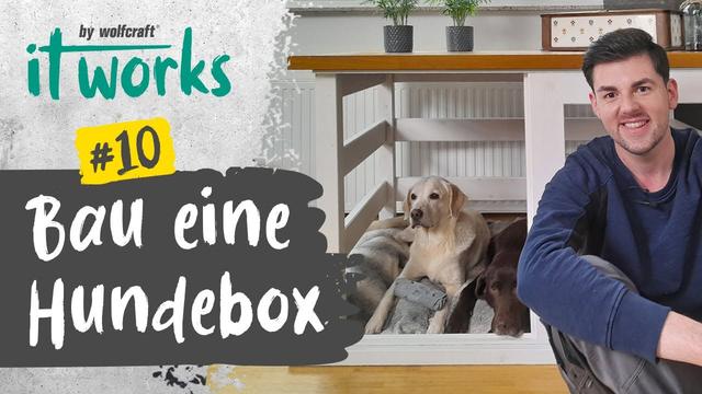 Schritt-für-Schritt-Anleitung: Hundebox selber bauen Schritt-für-Schritt-Anleitung: Hundebox selber bauen