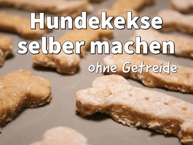 Gesunde Hundekekse ohne großen Aufwand selbst machen Gesunde Hundekekse ohne großen Aufwand selbst machen