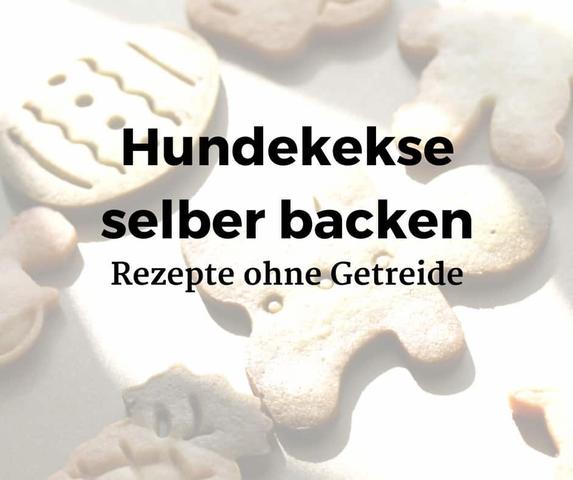Einfache Rezepte für köstliche Hundekekse zum Selberbacken Einfache Rezepte für köstliche Hundekekse zum Selberbacken