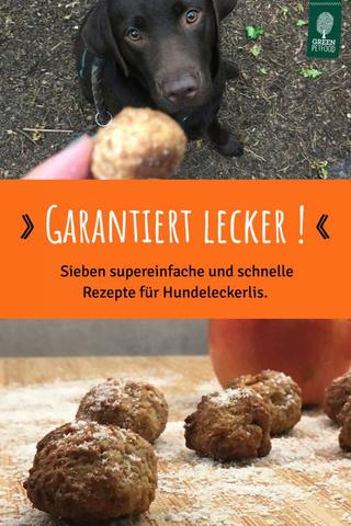 Wie lagert man selbstgemachte Hundekekse am besten? Tipps zur Aufbewahrung von DIY-Hundeleckerlis Wie lagert man selbstgemachte Hundekekse am besten? Tipps zur Aufbewahrung von DIY-Hundeleckerlis