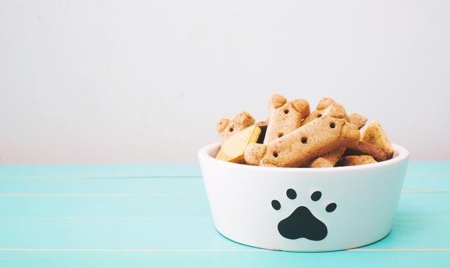 Gesunde DIY-Leckerlis für Hunde: 5 einfache Rezepte Gesunde DIY-Leckerlis für Hunde: 5 einfache Rezepte