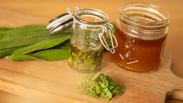 DIY Spitzwegerich Hustensaft: Gesundheitsförderndes Rezept zum Selbermachen DIY Spitzwegerich Hustensaft: Gesundheitsförderndes Rezept zum Selbermachen