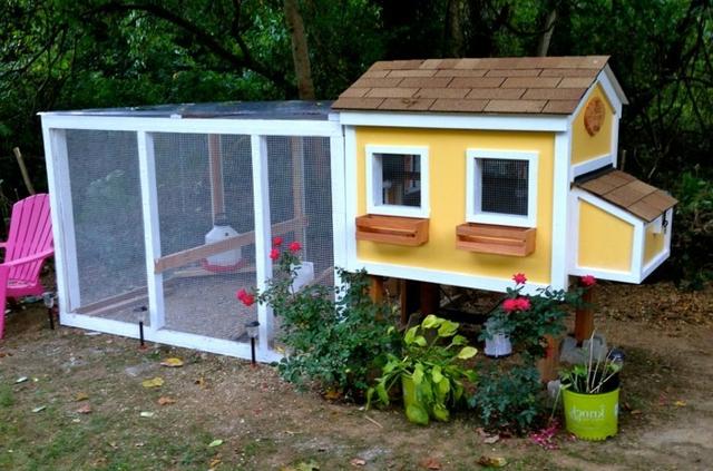 Kreativer Hühnerstallbau: Inspirierende Ideen für individuelle Ställe Kreativer Hühnerstallbau: Inspirierende Ideen für individuelle Ställe