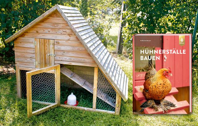 Ideen für den Bau eines Hühnerstalls: Kreative Anleitungen und Inspiration Ideen für den Bau eines Hühnerstalls: Kreative Anleitungen und Inspiration