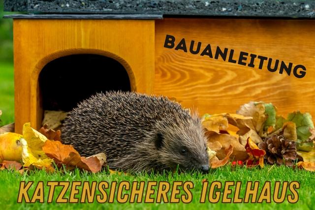Igelhäuser selber bauen Anleitung für den perfekten Unterschlupf