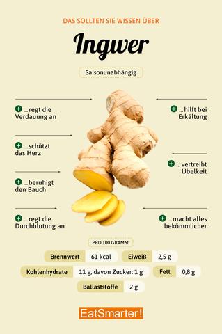 Die heilende Kraft des Ingwertees: Anwendungsbereiche und Wirkung