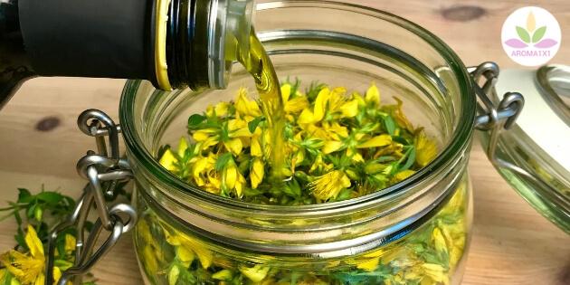 Schritt-für-Schritt-Anleitung: Johanniskrautöl selbst herstellen