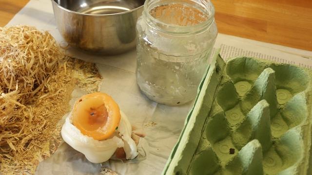 Nachhaltig und effektiv: So einfach kannst du Kaminanzünder selber machen Nachhaltig und effektiv: So einfach kannst du Kaminanzünder selber machen