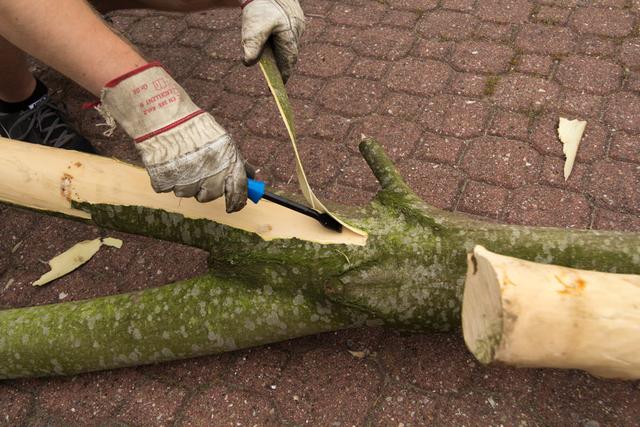 Individuellen Kratzbaum selber bauen - Schritt für Schritt Individuellen Kratzbaum selber bauen - Schritt für Schritt