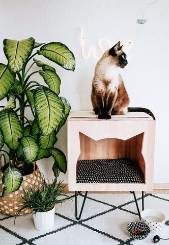 DIY-Projekt: Eine kuschlige Katzenhöhle selbst gestalten