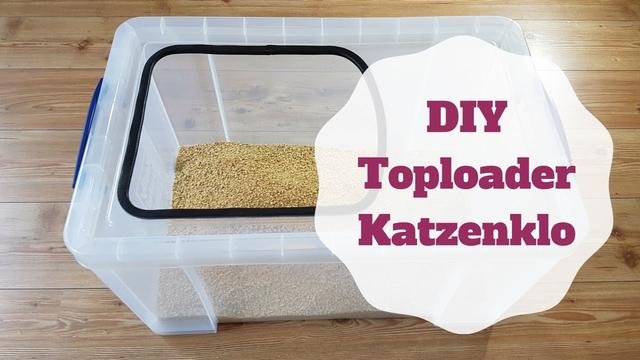 DIY Katzenklo: Bauanleitung für ein geschlossenes Katzenklo DIY Katzenklo: Bauanleitung für ein geschlossenes Katzenklo