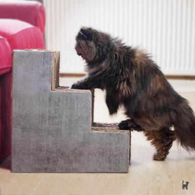 Die ideale Aufstiegshilfe: Eine selbstgebaute Katzentreppe für Ihre Katze Die ideale Aufstiegshilfe: Eine selbstgebaute Katzentreppe für Ihre Katze