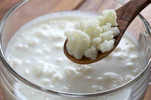 Kefir herstellen ohne Pilzkultur - so geht Kefir herstellen ohne Pilzkultur - so geht