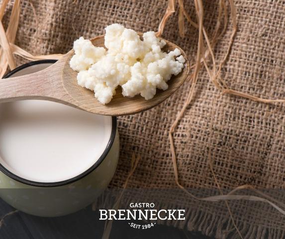 Ohne Pilzkultur: Kefir ganz einfach zu Hause selber machen Ohne Pilzkultur: Kefir ganz einfach zu Hause selber machen