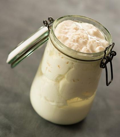 Selbstgemachter Kefir: So gelingt die Herstellung zu Hause Selbstgemachter Kefir: So gelingt die Herstellung zu Hause