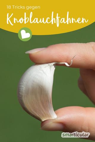 6 wirksame Hausmittel gegen Knoblauchgeruch 6 wirksame Hausmittel gegen Knoblauchgeruch