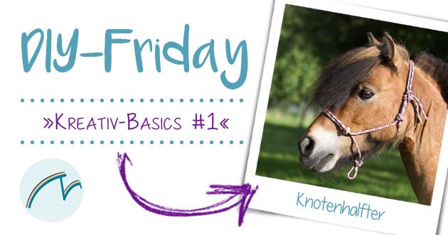 DIY-Knotenhalfter: So kannst du es selbst herstellen