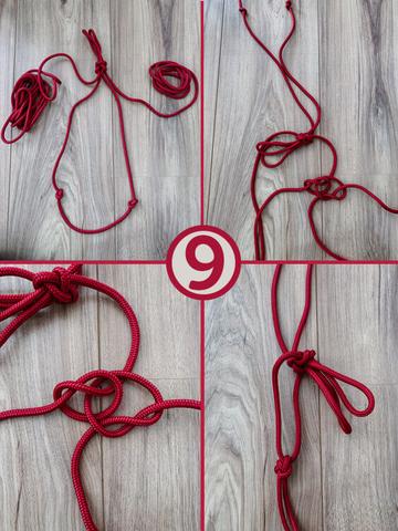 Knotenhalfter basteln: Tipps und Anleitung für dein eigenes Halfter
