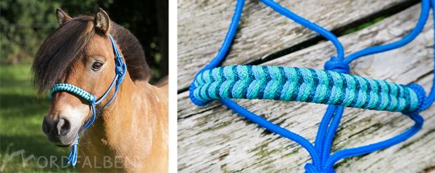 Knotenhalfter selbst gemacht - Tipps und Tricks für dein eigenes Halfter