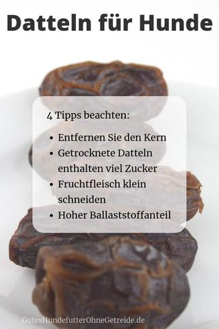 Häufig gestellte Fragen: Können Hunde Datteln essen? Häufig gestellte Fragen: Können Hunde Datteln essen?