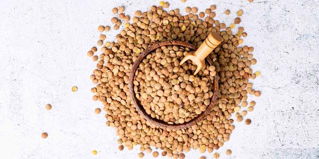 Die Vorteile von gekochten Linsen für Hunde Die Vorteile von gekochten Linsen für Hunde