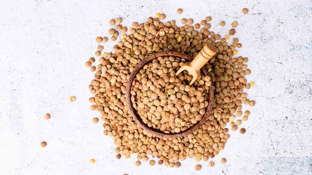 Sind Linsen für Hunde geeignet? Alles, was du wissen musst Sind Linsen für Hunde geeignet? Alles, was du wissen musst