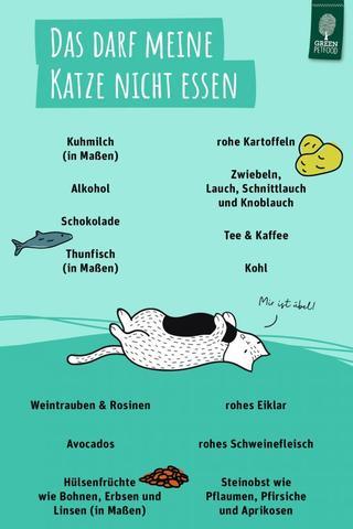 3. Die richtige Ernährung von Katzen: Darf Thunfisch auf dem Speiseplan stehen?