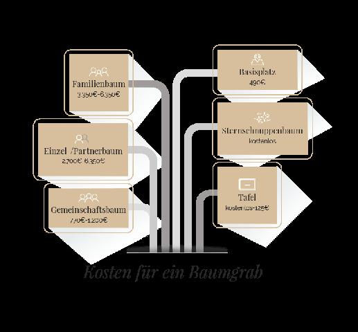Baumbestattung: Preise und Gebühren im Detail Baumbestattung: Preise und Gebühren im Detail