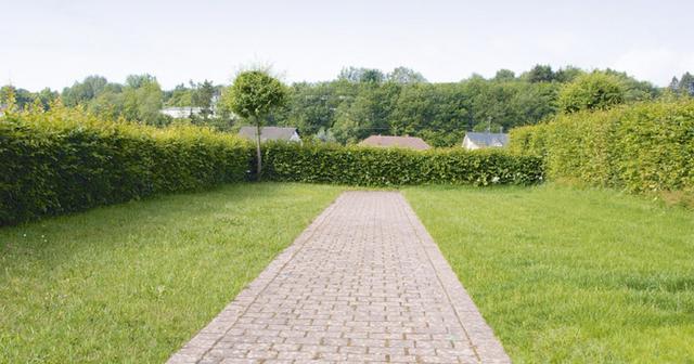 Kosten einer anonymen Urnenbeisetzung auf der grünen Wiese: Was sollten Sie wissen?