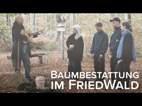 Grabplatz im FriedWald: Was sind die finanziellen Aspekte?