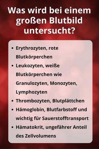 Preise für ein großes Blutbild und was sie beinhalten Preise für ein großes Blutbild und was sie beinhalten
