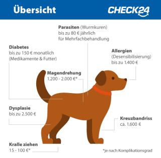 Wie hoch sind die Beiträge für eine Hundekrankenversicherung? Wie hoch sind die Beiträge für eine Hundekrankenversicherung?