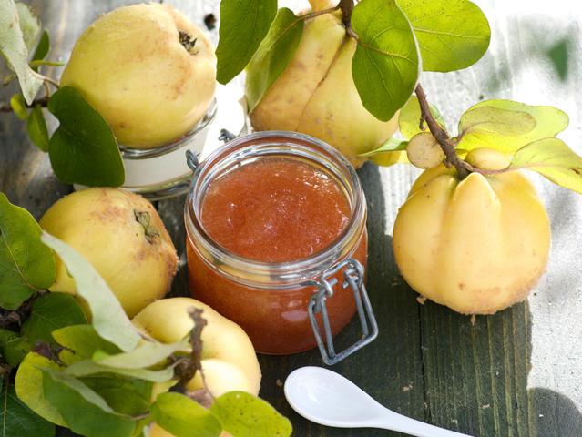 Praktische Tipps und leckere Rezepte für selbstgemachtes Quittenmus Praktische Tipps und leckere Rezepte für selbstgemachtes Quittenmus