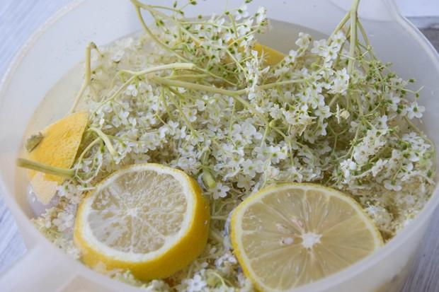 Köstlicher Holundersaft zum Selbermachen: Grundrezept und Tipps Köstlicher Holundersaft zum Selbermachen: Grundrezept und Tipps