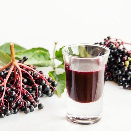 Holunderbeersaft selbst gemacht: Anleitung für den perfekten Genuss Holunderbeersaft selbst gemacht: Anleitung für den perfekten Genuss