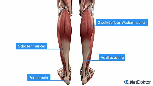 Natürliche Lösungen gegen Muskelkrämpfe: Wie Sie Ihren Körper richtig versorgen