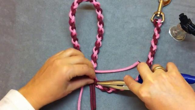 Anleitung: Hundeleinen selber machen - Kreativ und kostensparend Anleitung: Hundeleinen selber machen - Kreativ und kostensparend