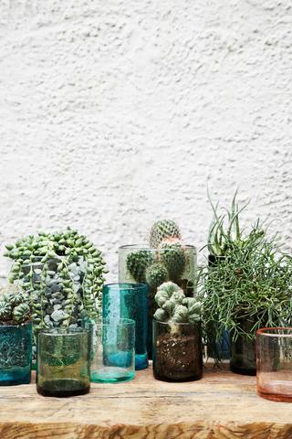 Einzigartige Pflanzgefäße einfach selber machen: 6 kreative Ideen für Ihren Garten