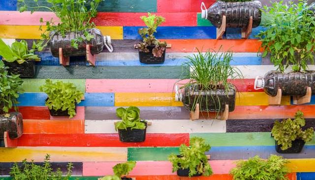 DIY-Projekt: Unkonventionelle Pflanzgefäße selbst gestalten und Akzente setzen