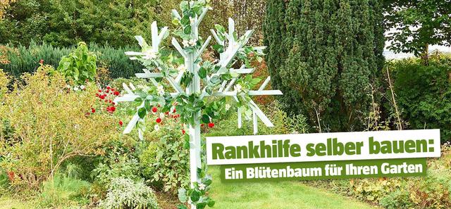 Gestalten Sie Ihre individuelle Rankhilfe aus Weide: Anleitung und Ideen Gestalten Sie Ihre individuelle Rankhilfe aus Weide: Anleitung und Ideen