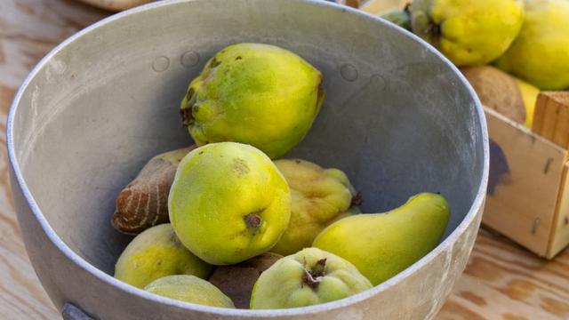Vielseitige Verwendungsmöglichkeiten für Quitten Vielseitige Verwendungsmöglichkeiten für Quitten