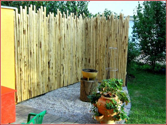 Tipps und Tricks für einen erschwinglichen und originellen Sichtschutz