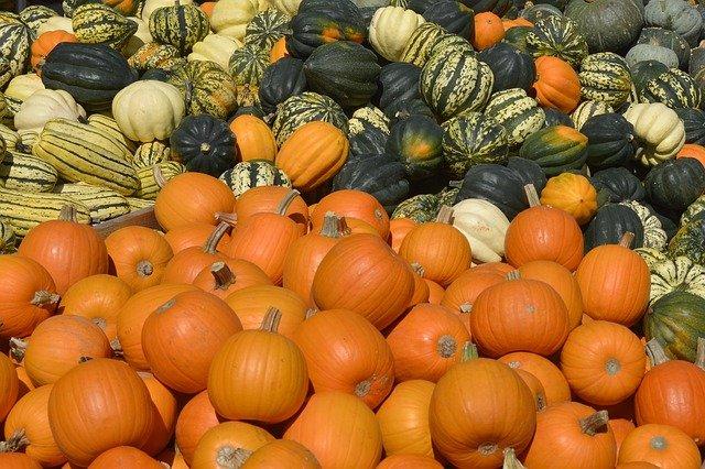 Natürliches Grün im Winter: Die Vorteile von Kürbissen für Kaninchenhalter