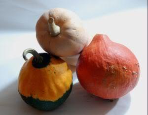 Frisches Herbstgemüse: Warum Kürbisse eine gesunde Option für Kaninchen sind