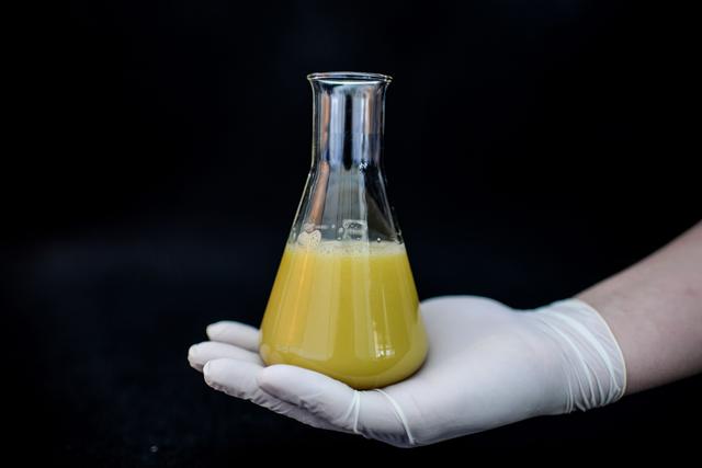 Die Bedeutung der Pasteurisierung für länger haltbare Milch Die Bedeutung der Pasteurisierung für länger haltbare Milch