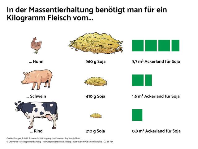 3. Sojalecithin: Ein Grund für die Regenwaldzerstörung? 3. Sojalecithin: Ein Grund für die Regenwaldzerstörung?